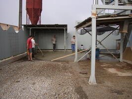 P5100054