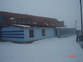 p 008