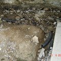 DSC00679