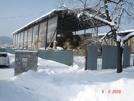 DSC00004