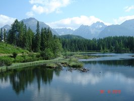 DSC01812
