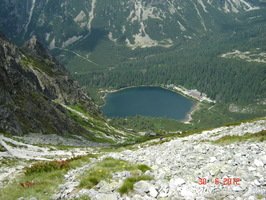 DSC01848
