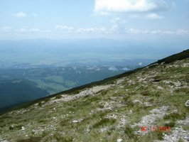 DSC01851